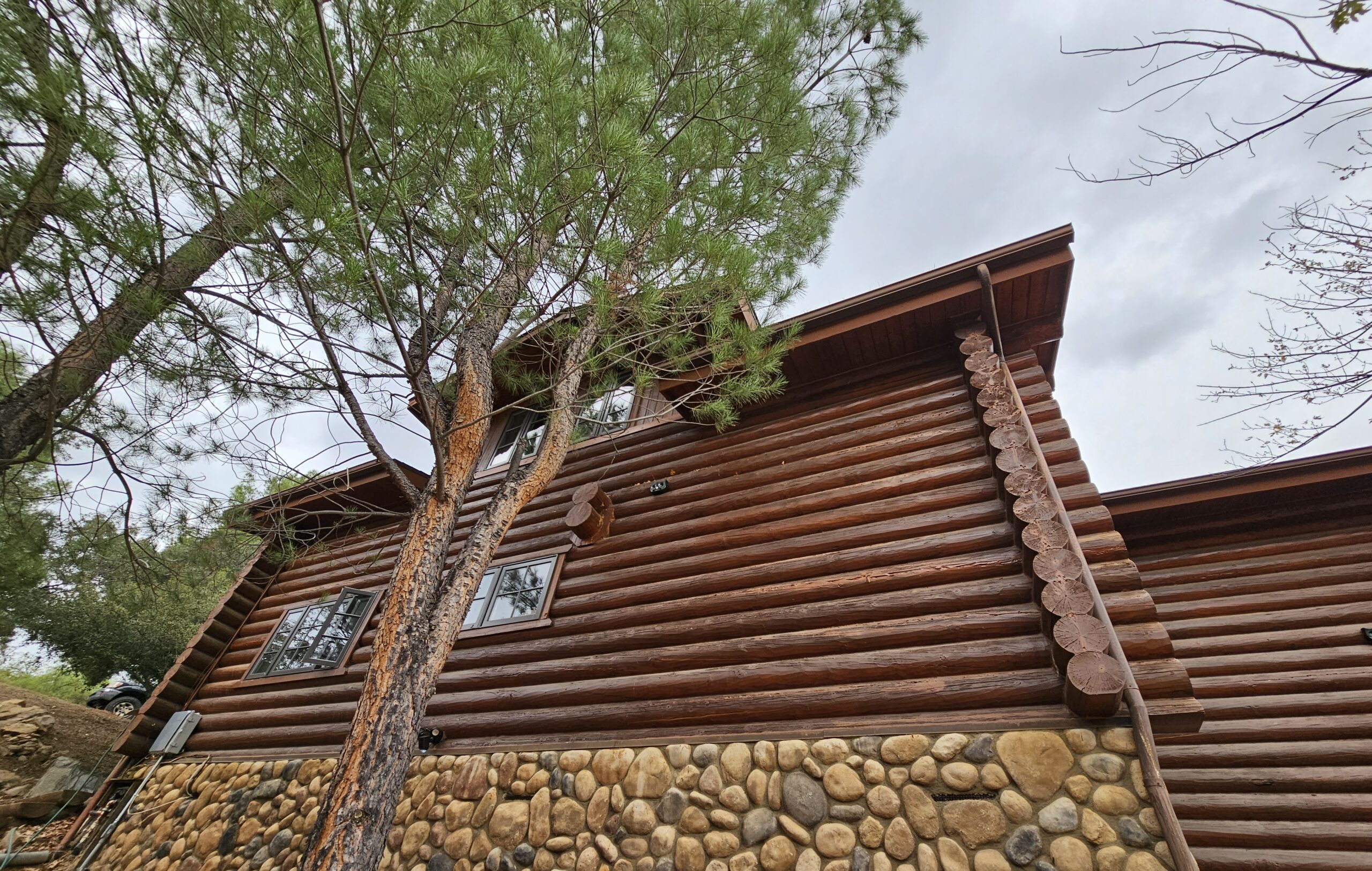 A low-angle view of a brown wooden log cabin with a stone foundation and a pine tree under a cloudy sky.