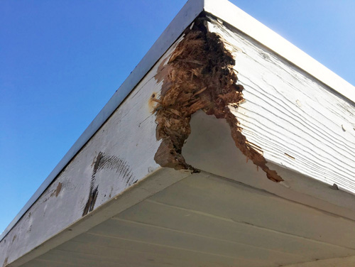 Commercial Exterior Painting Substrates That Fail: Fascia and Rakeboard