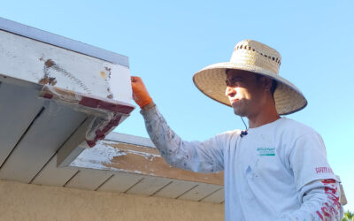 Why March Is the Decision Month for Commercial Exterior Painting